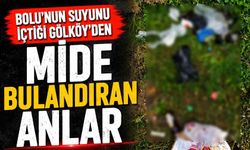 Bolu'nun su içtiği Gölköy'de mide bulandıran anlar