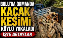 Bolu'da, kaçak kesime köylü müdahale etti