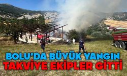 Bolu'da büyük yangına takviye gitti