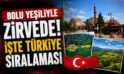 Bolu Yeşiliyle Zirvede! İşte Türkiye Sıralaması