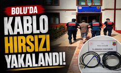 Bolu'da kablo hırsızı yakalandı