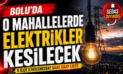 Bolu'da O Mahallelerde Elektrikler Kesilecek