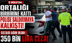 BOLU'DA ORTALIĞI KARIŞTIRDI! Polise Saldırmaya Kalkıştı, 350 Bin Lira Ceza Yedi