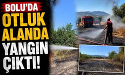 Bolu'da otluk alanda yangın çıktı