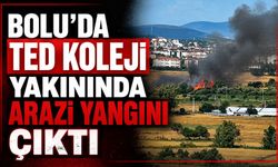 Bolu'da TED Koleji Yakınında Arazi Yangını Çıktı