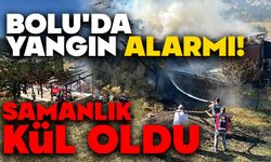 Bolu'da Yangın Alarmı! Samanlık Kül Oldu