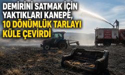 Demirini satmak için yaktıkları kanepe, 10 dönümlük tarlayı küle çevirdi
