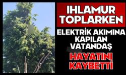 Ihlamur toplarken elektrik akımına kapılan vatandaş hayatını kaybetti