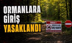 BOLU’DA ORMANLARA GİRİŞLER YASAKLANDI