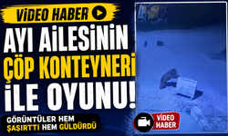 Ayı ailesinin çöp konteyneri ile oyunu