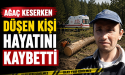 Ağaç keserken düşen kişi hayatını kaybetti