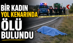 Bir kadın yol kenarında ölü bulundu