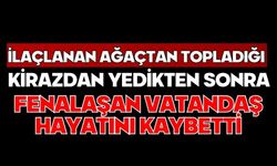 İlaçlanan ağaçtan topladığı kirazdan yedikten sonra fenalaşan vatandaş hayatını kaybetti