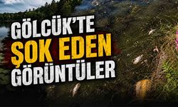 Bolu’nun incisinde balıklar ölüyor