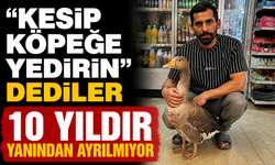 "Kesip köpeğe yedirin" dediler 10 yıldır yanından ayrılmıyor