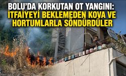 Bolu’da korkutan ot yangını: İtfaiyeyi beklemeden kova ve hortumlarla söndürdüler