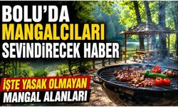 BOLU'DA MANGAL YAKILABİLECEK ALANLAR AÇIKLANDI