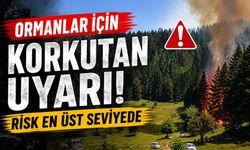 Orman Genel Müdürlüğü'nden Kritik Uyarı: Yangın Riski En Üst Seviyede