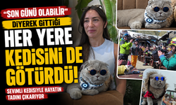 Veterinerlerin "yaşamaz" dediği kedi, denizde yüzdü, Uludağ'da kayak keyfi yaptı