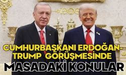 Cumhurbaşkanı Erdoğan-Trump görüşmesinde masadaki konular