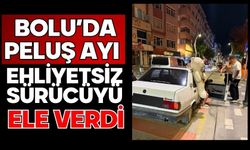 Bolu'da peluş ayı ehliyetsiz sürücüyü ele verdi
