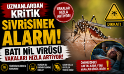 Uzmanlardan kritik sivrisinek alarmı: Batı Nil virüsü vakaları hızla artıyor!