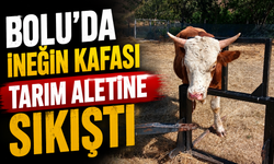 Bolu’da ineğin kafası tarım aletine sıkıştı