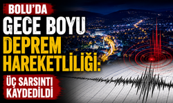 Bolu’da gece boyu deprem hareketliliği: Üç sarsıntı kaydedildi