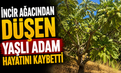İncir ağacından düşen yaşlı adam hayatını kaybetti