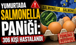 Yumurtada Salmonella Paniği: 306 Kişi Hastalandı