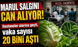 Marul salgını can alıyor! Hastaneler alarma geçti, vaka sayısı 20 bini aştı