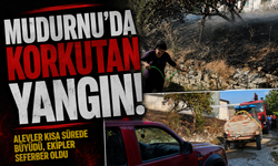 Mudurnu'da korkutan yangın