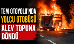 TEM Otoyolu'nda yolcu otobüsü alev topuna döndü