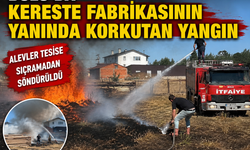 Bolu’da kereste fabrikasının yanında korkutan yangın