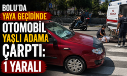 Bolu'da yaya geçidinde otomobil yaşlı adama çarptı: 1 yaralı