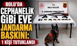 Bolu’da jandarmadan silah operasyonu: 1 kişi tutuklandı