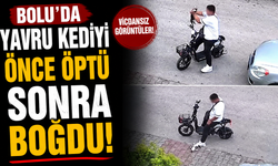 Bolu'da yavru kediyi önce öptü, sonra boğdu
