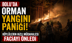 Bolu'da orman yangını paniği: Köylülerin hızlı müdahalesi faciayı önledi