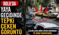 Bolu’da yaya geçidinde tepki çeken görüntü