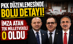 PKK düzenlemesinde Bolu detayı! İmza atan tek milletvekili o oldu