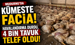 Mudurnu’da kümeste facia! Havalandırma durdu, 4 bin tavuk telef oldu