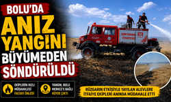 Bolu’da anız yangını büyümeden söndürüldü