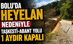Bolu'da heyelan nedeniyle Taşkesti-Abant yolu 1 aydır kapalı