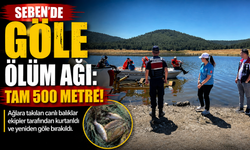 Seben’de göle ölüm ağı: Tam 500 metre!