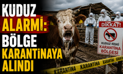 Kuduz alarmı: Bölge karantinaya alındı