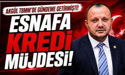 Akgül TBMM’de gündeme getirmişti: Esnafa kredi müjdesi
