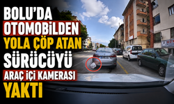 Bolu'da otomobilden yola çöp atan sürücüyü araç içi kamerası yaktı