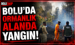 Bolu’da ormanlık alanda yangın