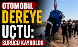 Otomobil dereye uçtu: Sürücü kayboldu