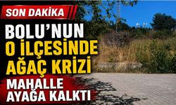 Bolu'nun en büyük ilçesinde ağaç kesme krizi